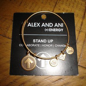 Alex and Ani Bracelet-Stand up to Cancer